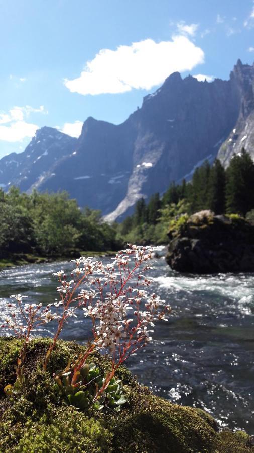 Trollveggen Camping Åndalsnes Dış mekan fotoğraf